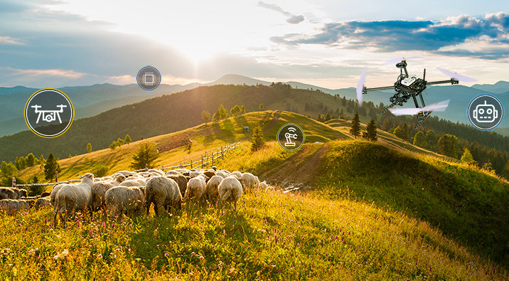 HoverGames 3 winners use drones and rovers to create sustainable food ecosystems